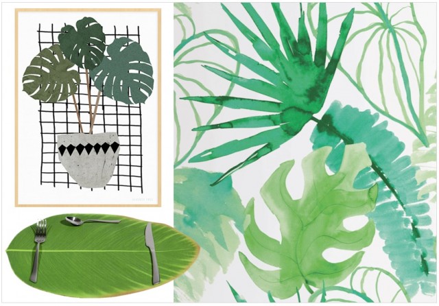 Déco urban jungle