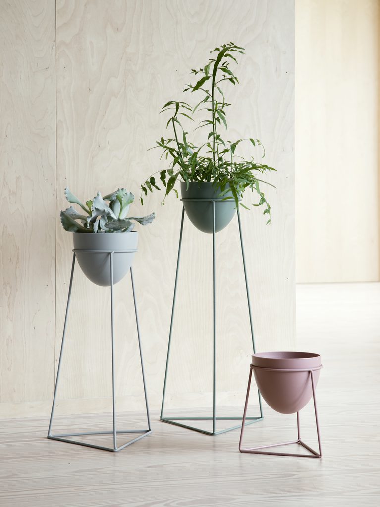 cache pot sur pied