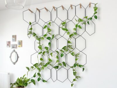 Anno, la treille murale modulable pour l'intérieur - Joli Place