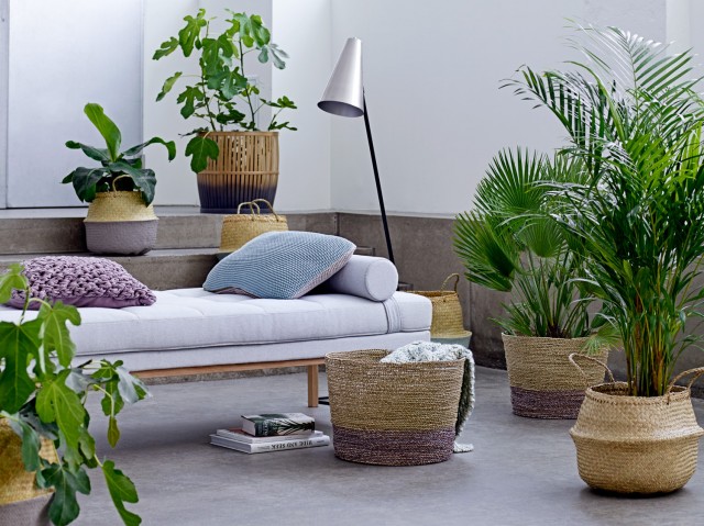 Cache-pot sur pied et support pour plante : 26 idées déco  Pot de fleur  interieur, Comment décorer une salle de bain, Deco plantes interieur