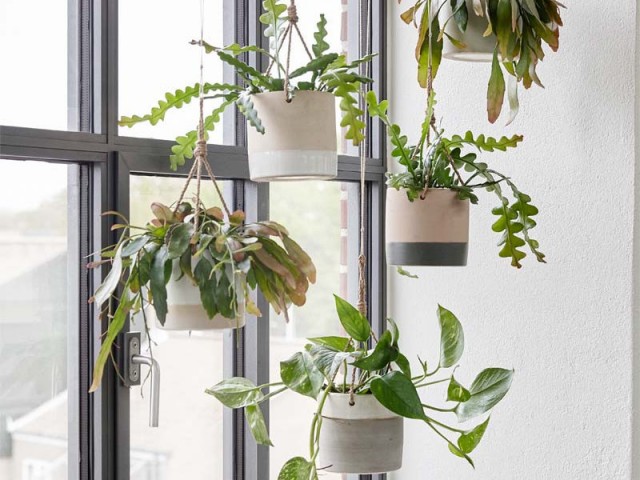 10 idées déco pour vos plantes – Joli Place