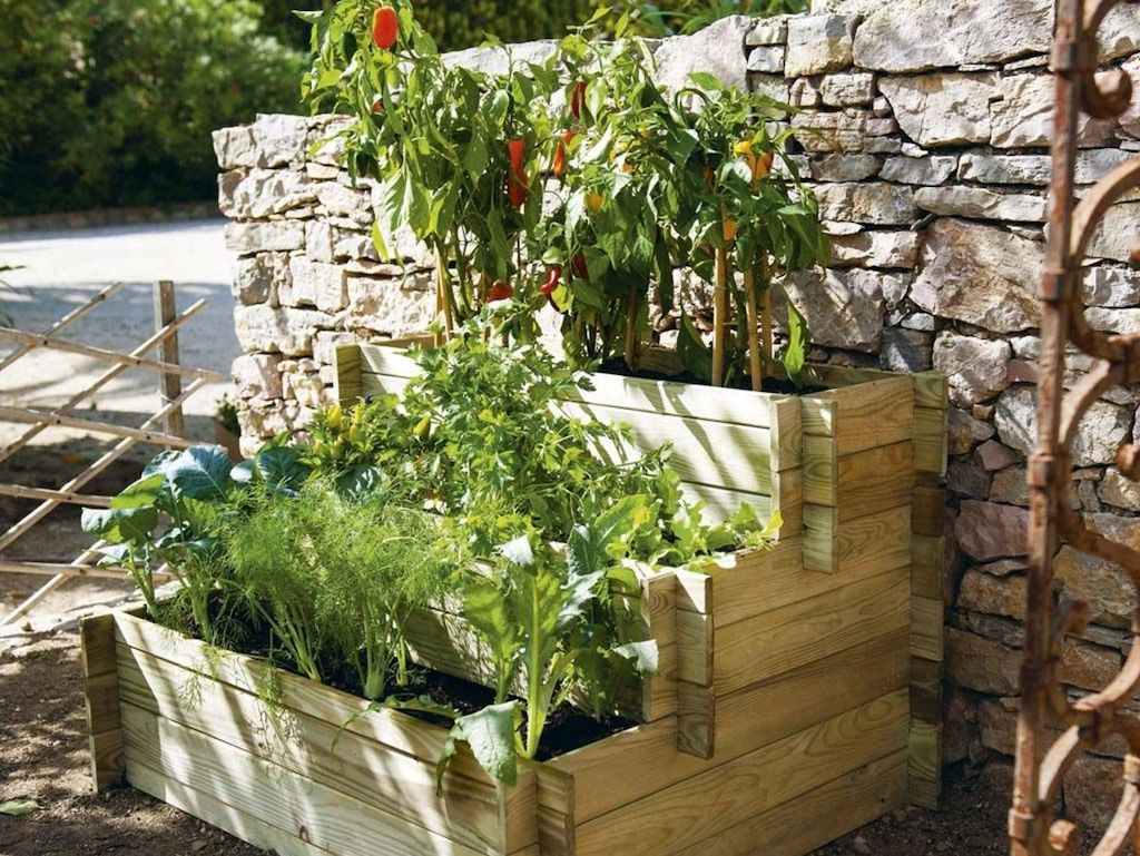 Potager en escalier sur terrasse