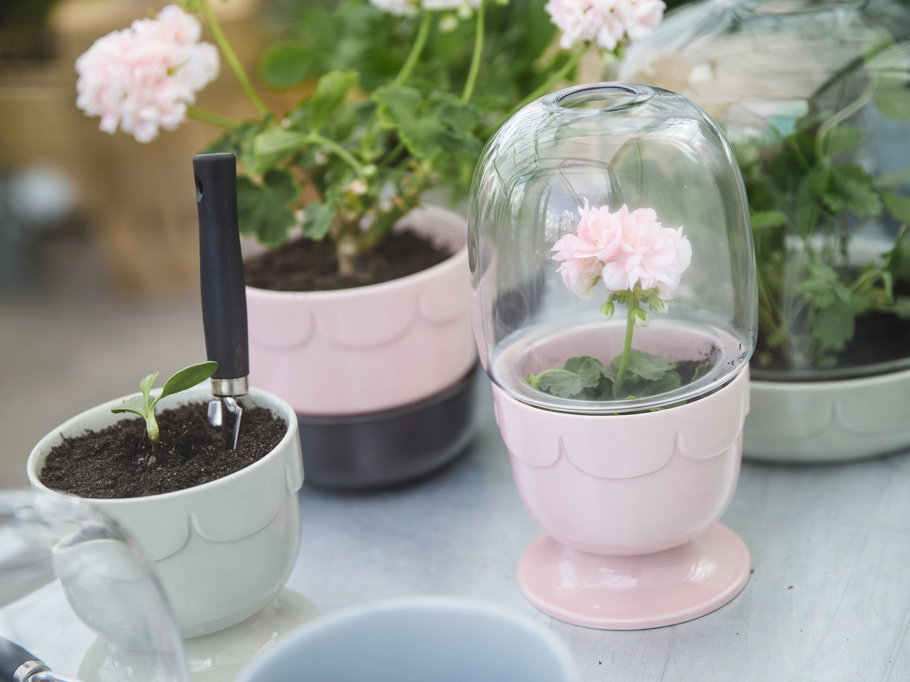 mini serre sagaform