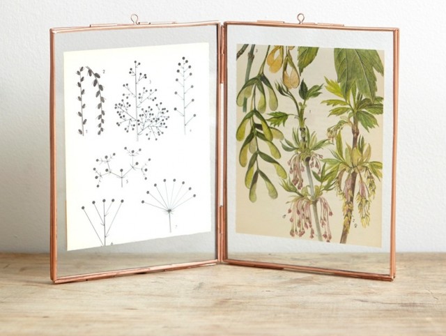 Tendance déco : herbier