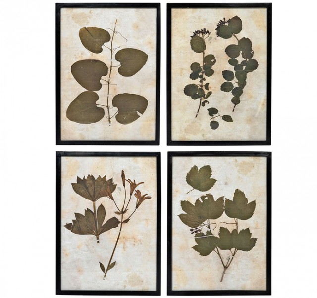Tendance déco : herbier