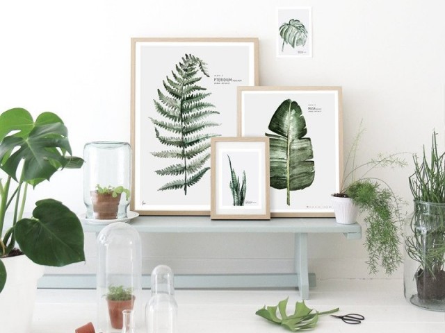 Tendance déco : herbier