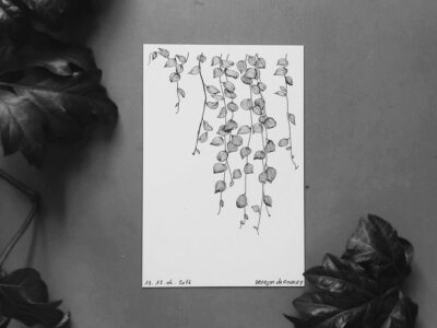 Affiche botanique en noir et blanc