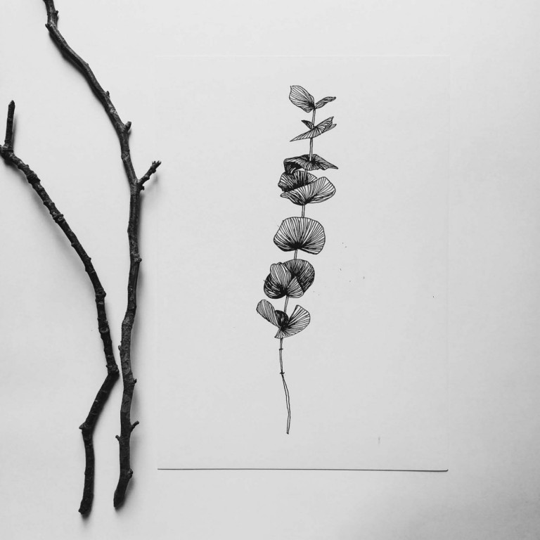 Affiche botanique en noir et blanc