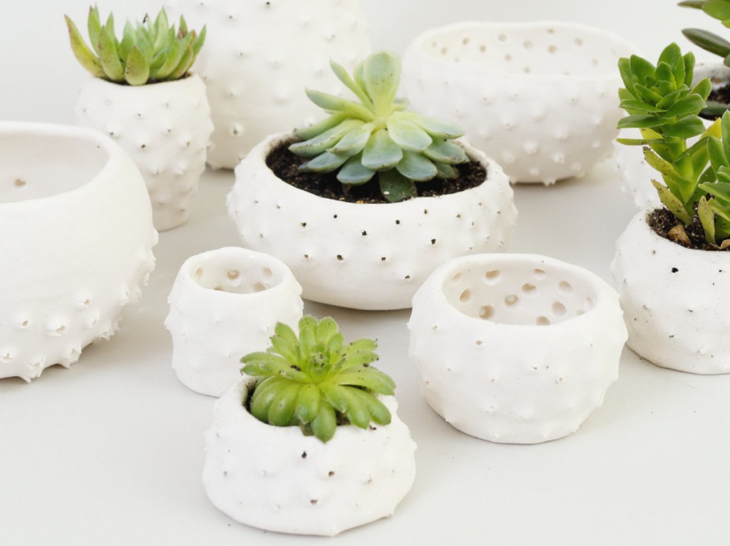 Mini pots cactus et succulentes