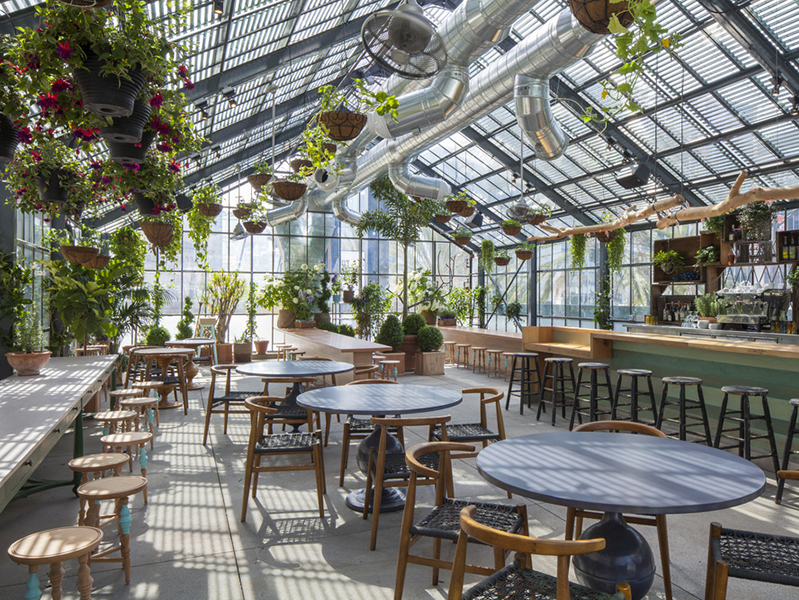 ambince deco begetale serre restaurant hotel