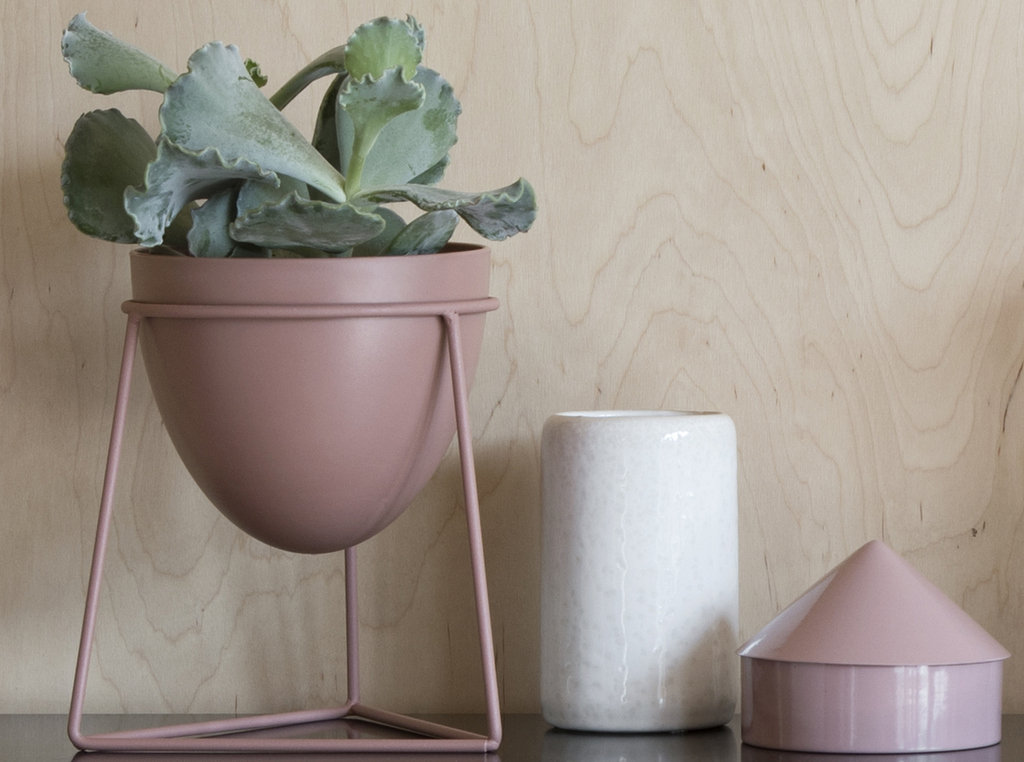 déco rose