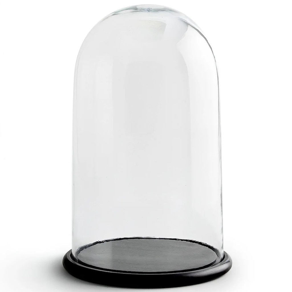 cloche en verre socle noir