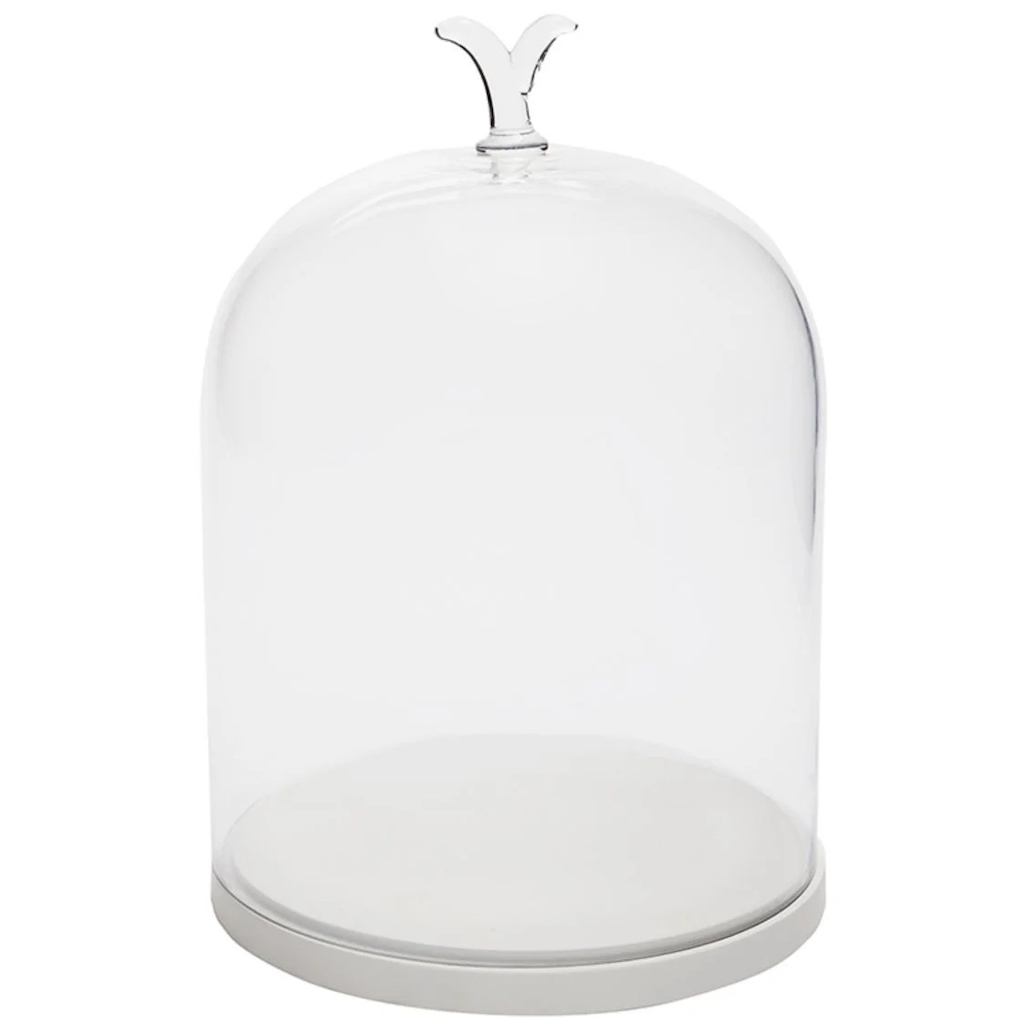 cloche en verre socle blanc