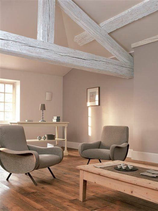 Peinture Mur Interieur - 1 L - Codeve Bois - 7006 - Gris beige