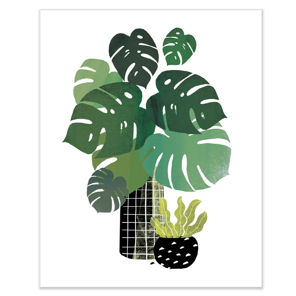 affiche monstera