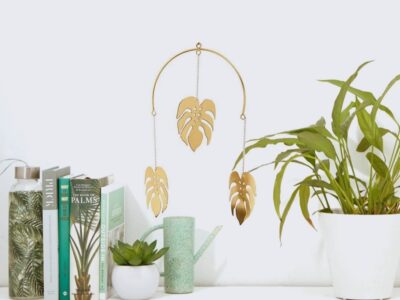 déco monstera