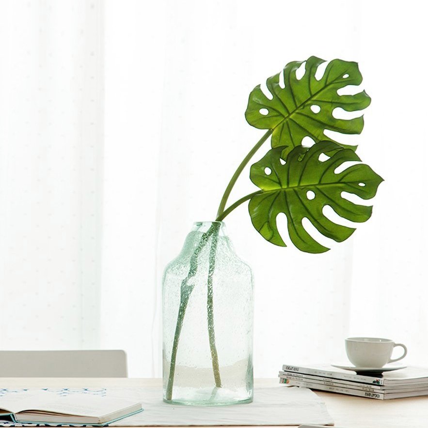 déco monstera