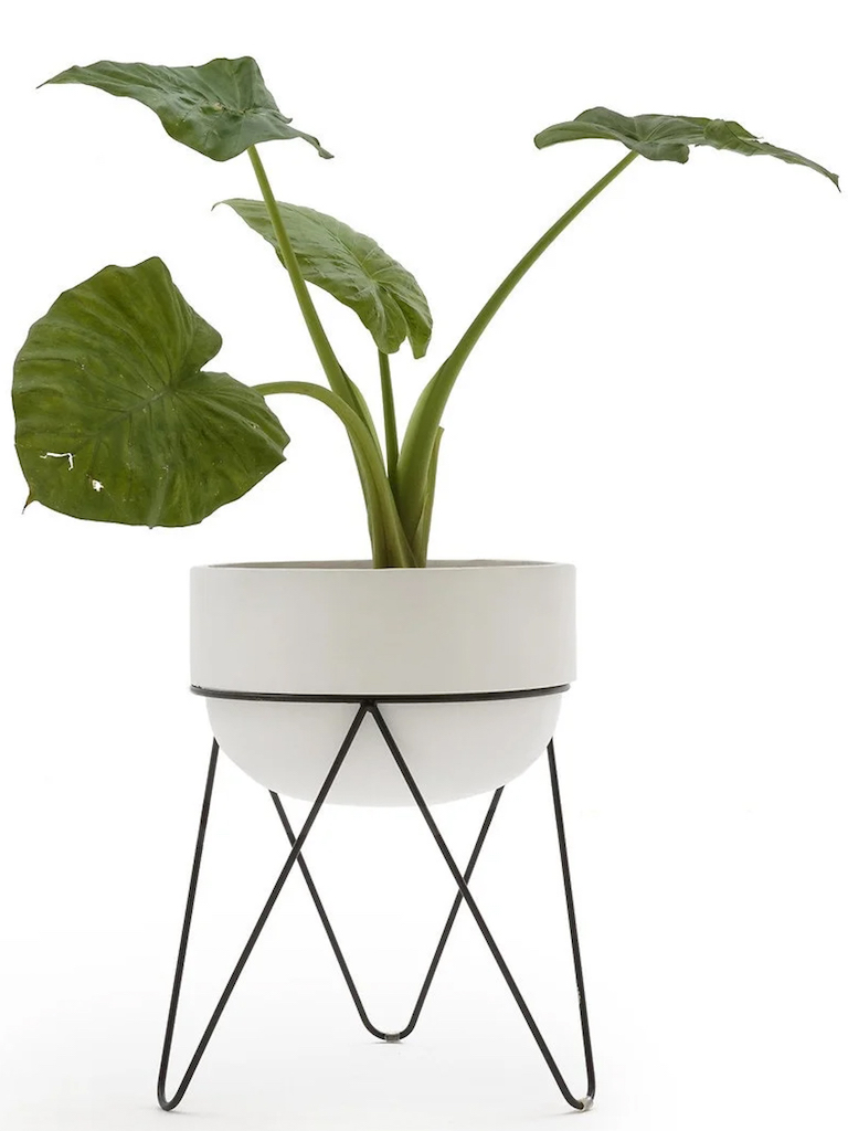 cache pot design extérieur sur pied