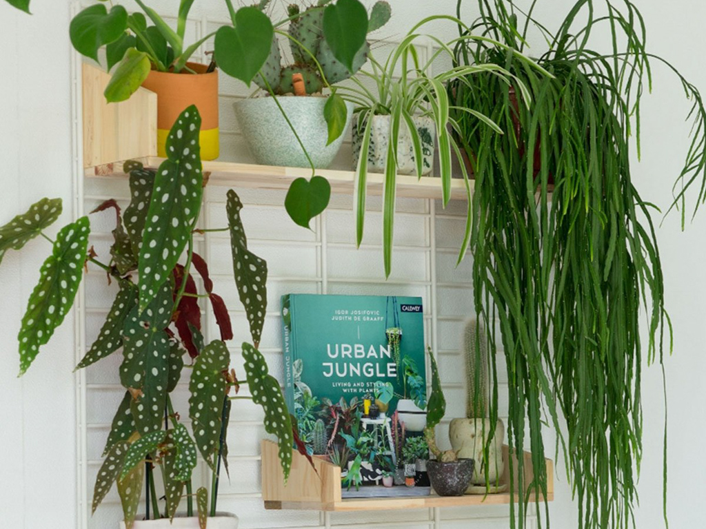 livre urban jungle