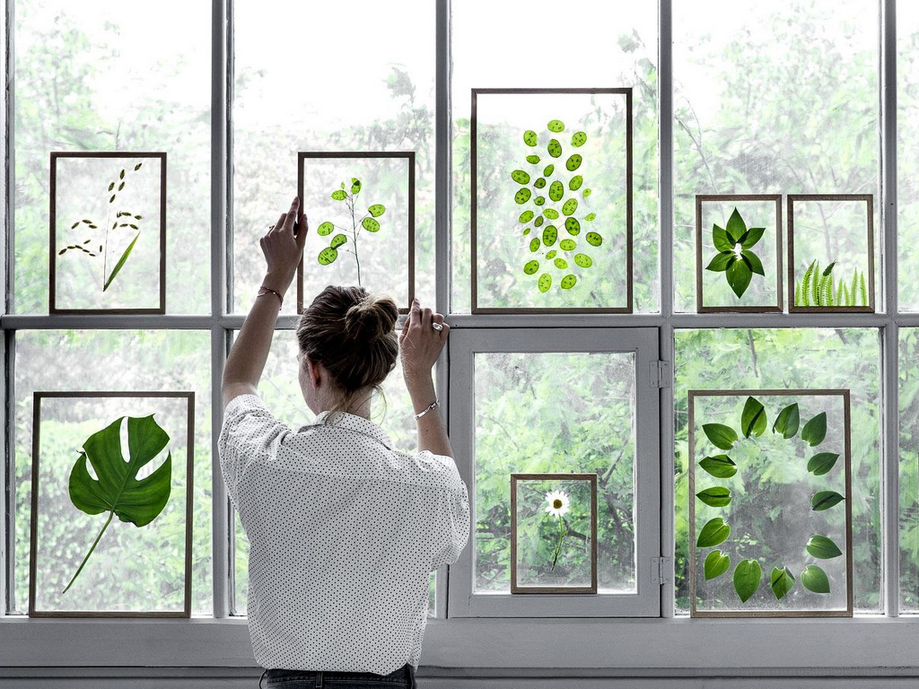 Réussir sa décoration végétale d'intérieur - Joli Place