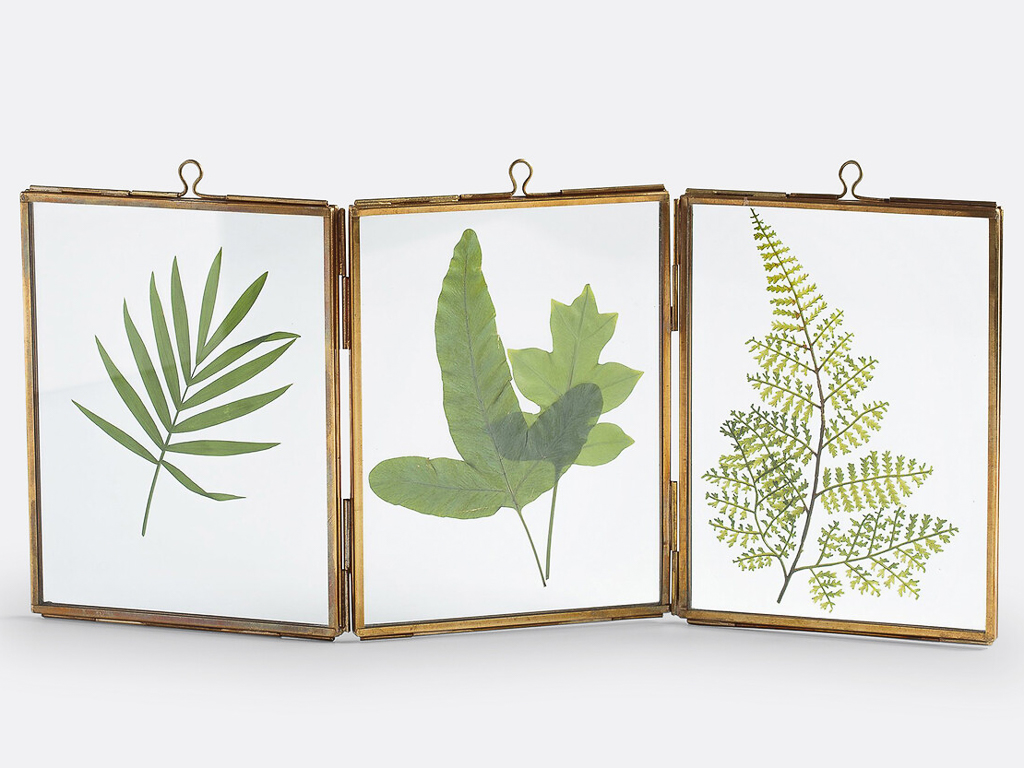 Réussir sa décoration végétale d'intérieur - Joli Place