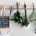 Détourner un porte-manteau mural en bois - Joli Place