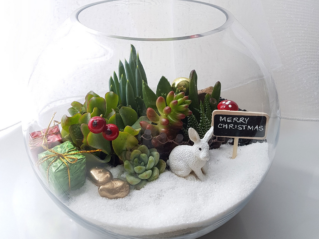 Créez votre terrarium de Noël - Joli Place