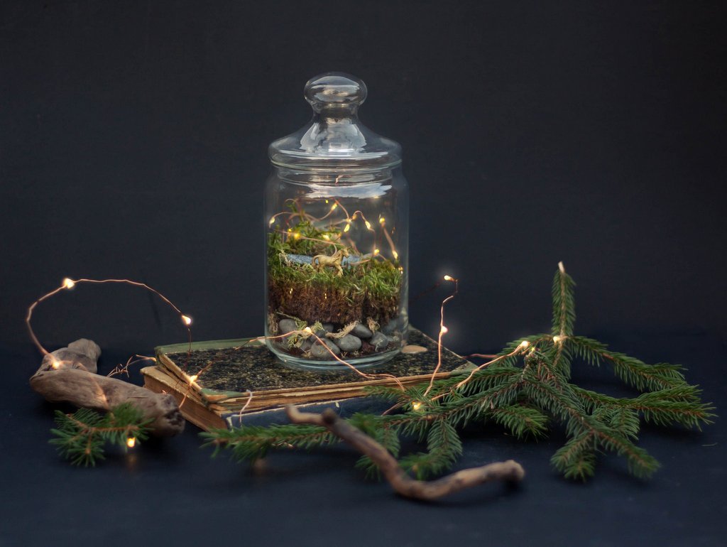 Créez votre terrarium de Noël - Joli Place