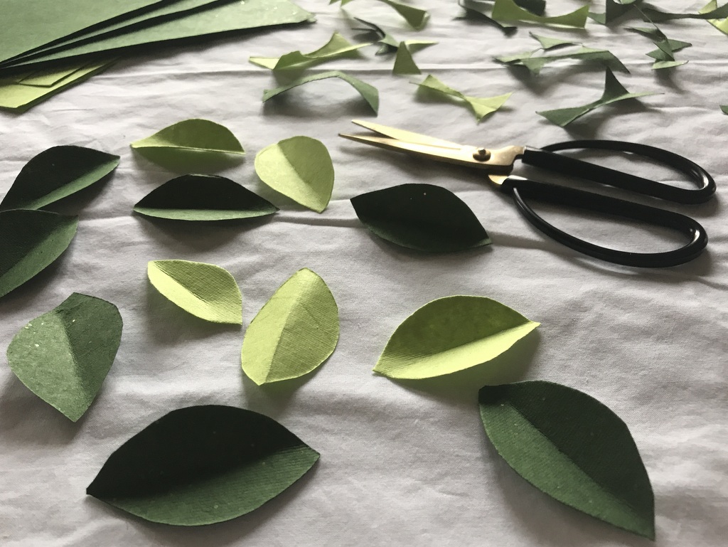 Comment fabriquer une plante en papier - Joli Place