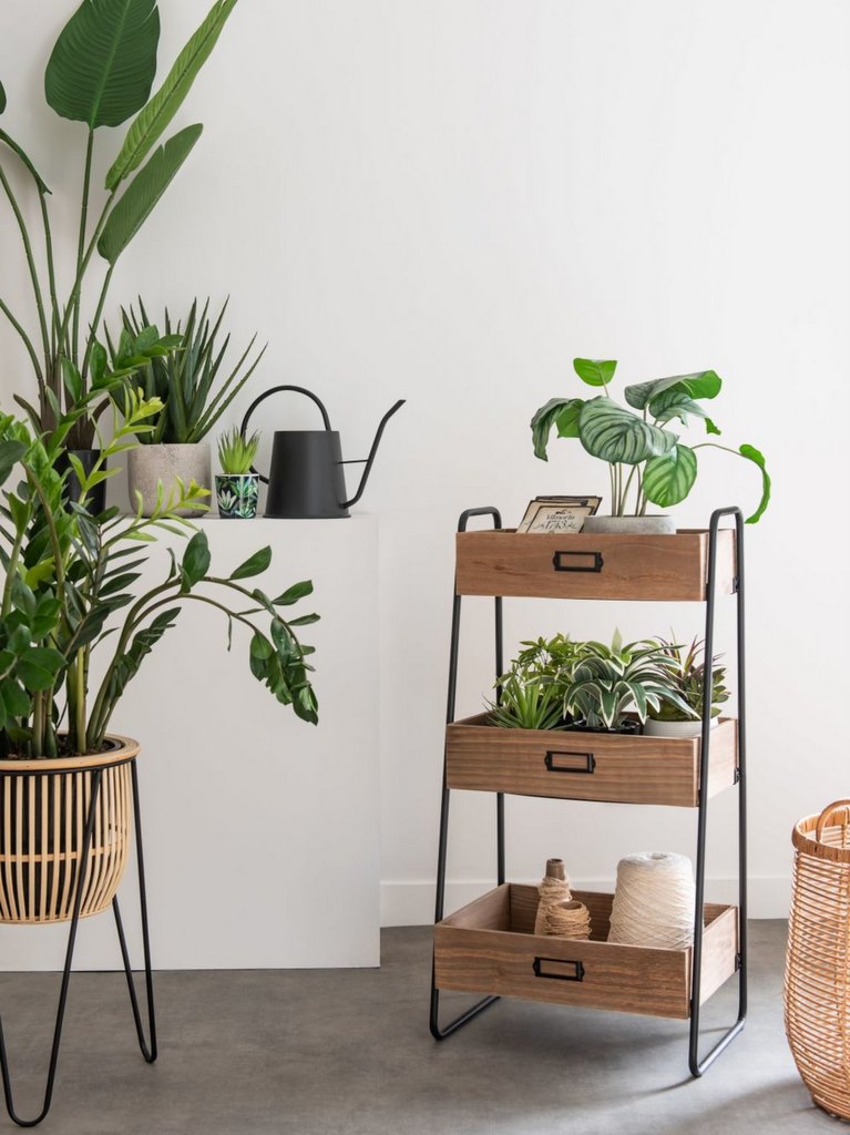 étagère à plante