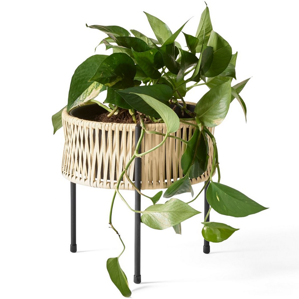 jardinière extérieure en rotin