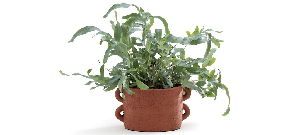cache-pot céramique terracotta