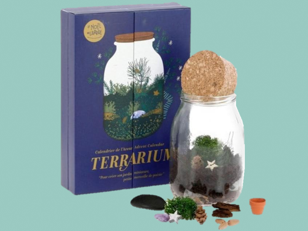 calendrier de l'avent terrarium