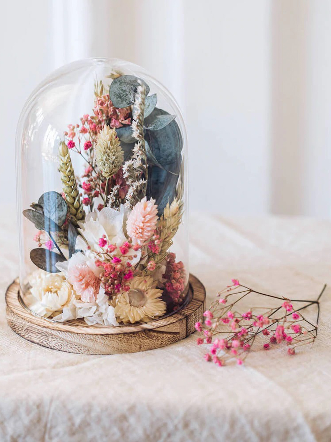 cloche fleurs séchées