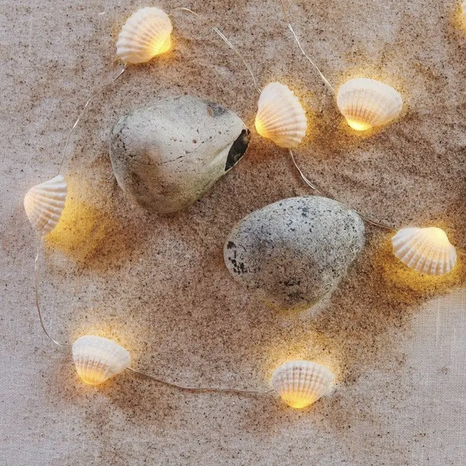 guirlande lumineuse coquillage