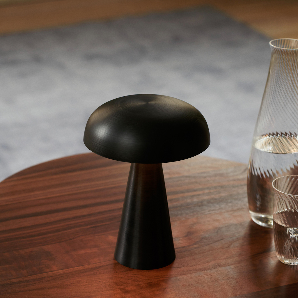 lampe champignon sans fil 