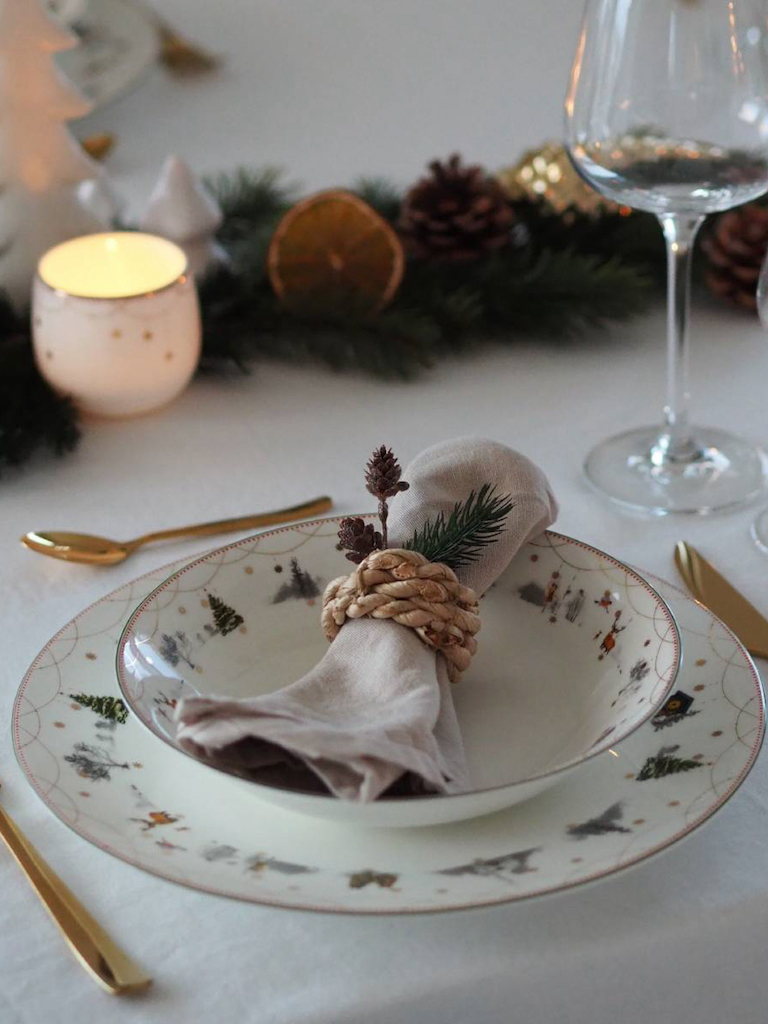 6 Plantes En Fleur à Noël Et Aux Fêtes De Fin D'année