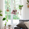 Comment suspendre une plante d'intérieur