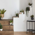 idée déco cage d'escalier avec plantes