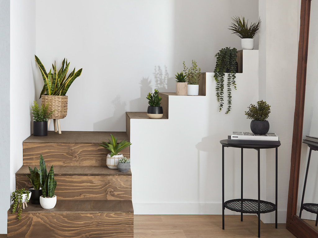 idée déco cage d'escalier avec plantes