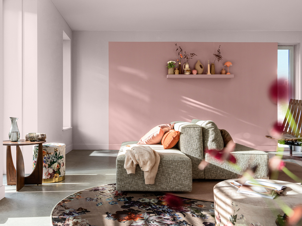 couleur dulux 2024 tendre cocon