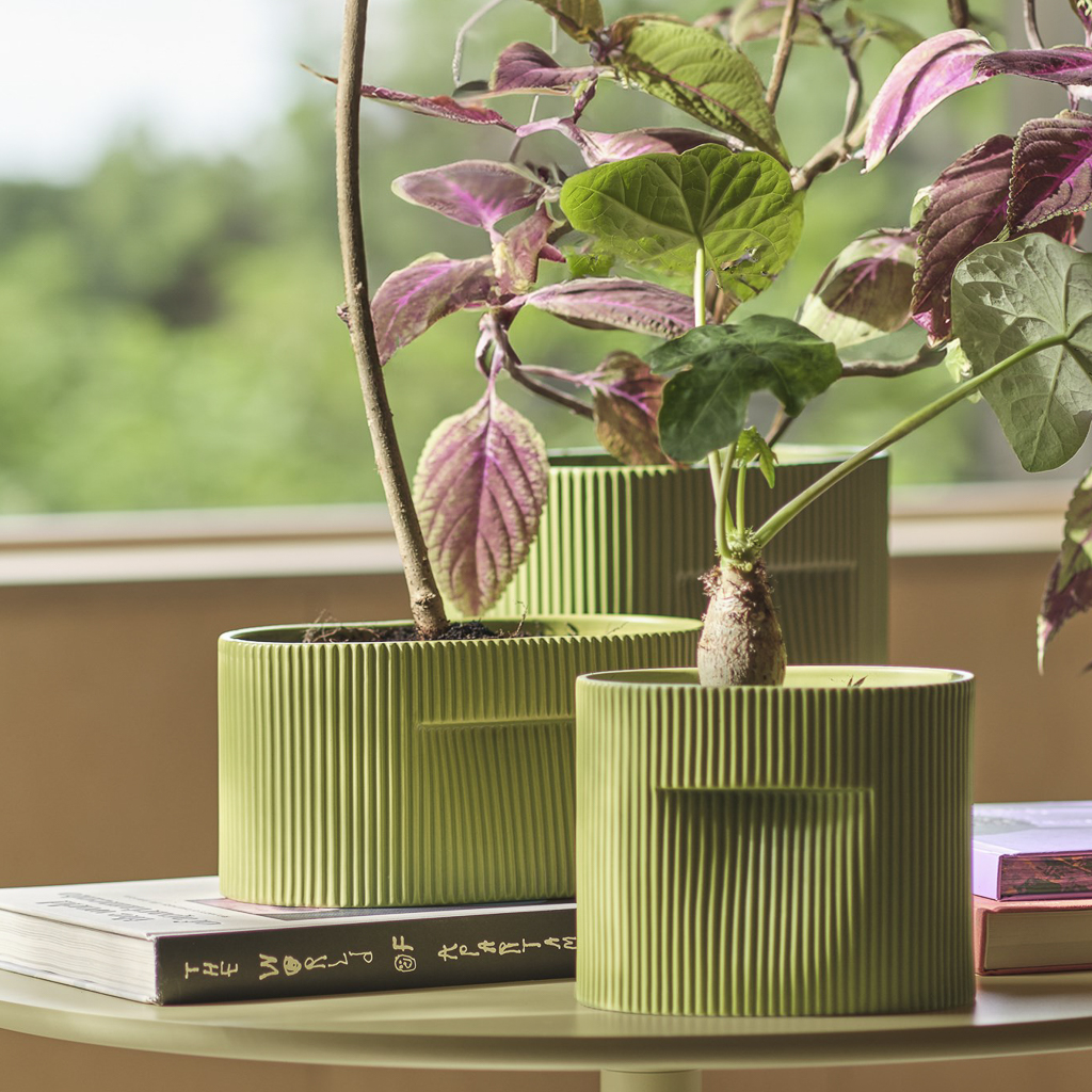 cache-pot vert olive