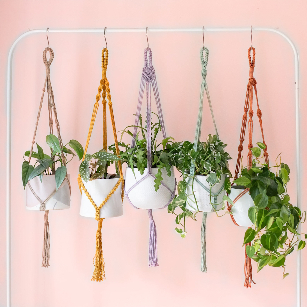suspension plante en macramé coloré