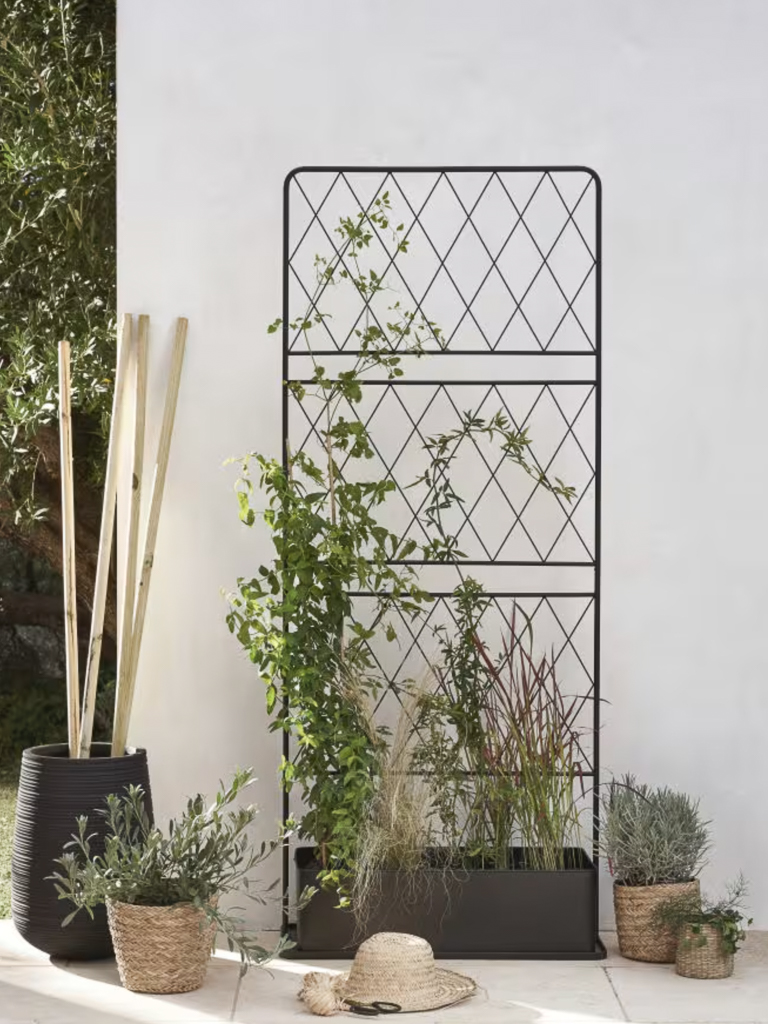 jardinière design avec treille