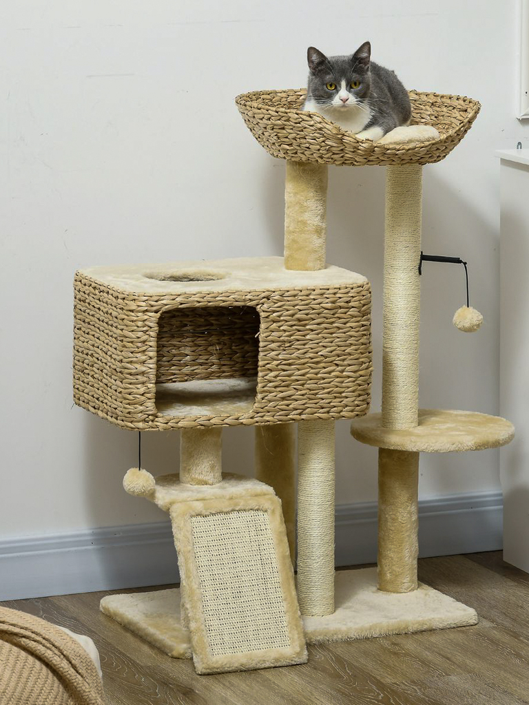 idée cadeau pour chat