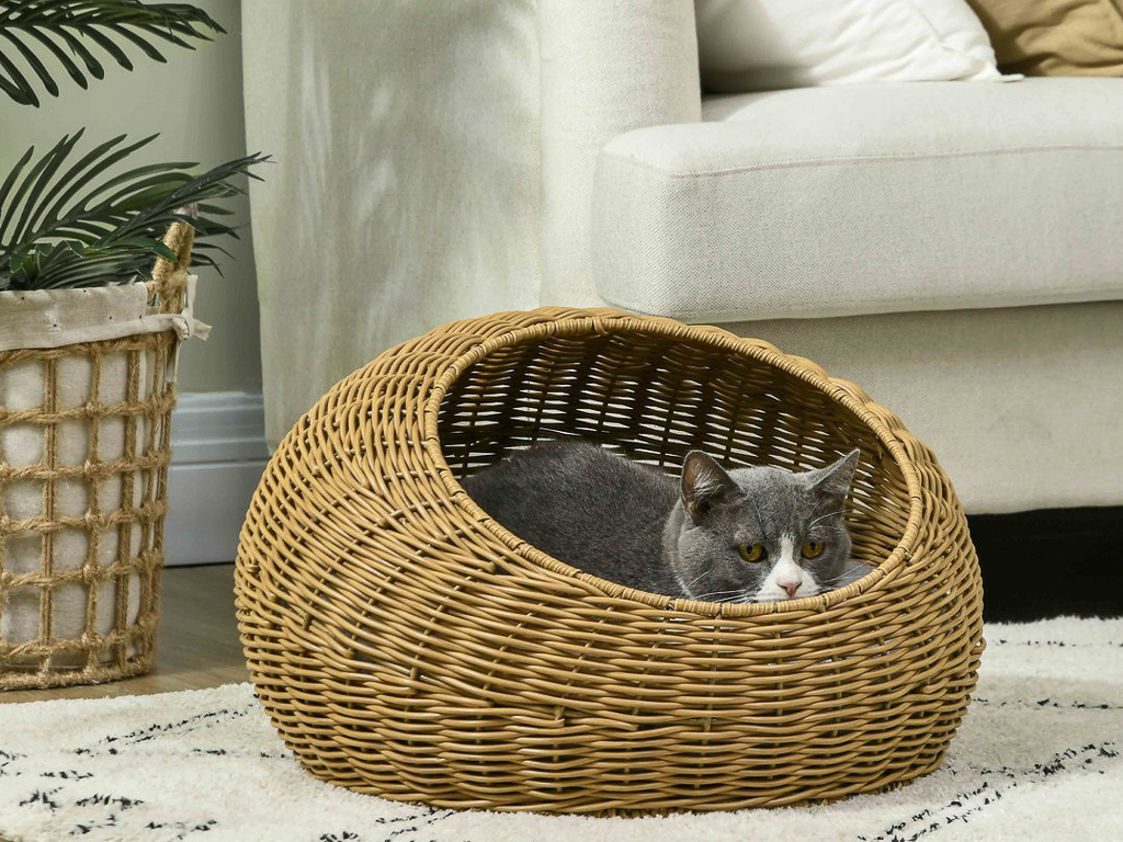 idée cadeau pour chat