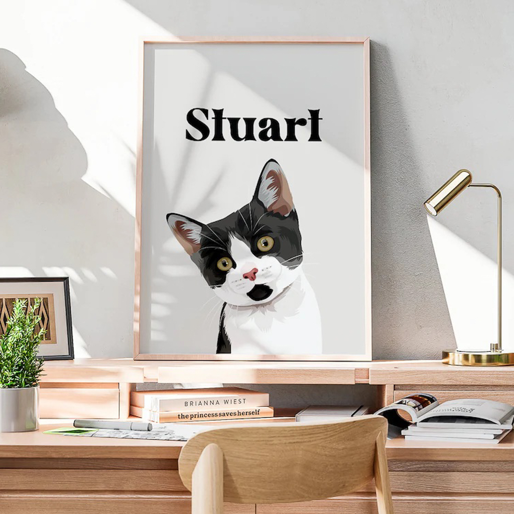 idée cadeau pour chat