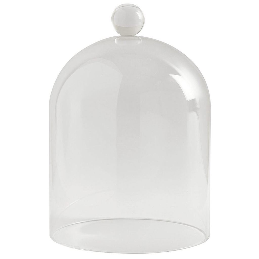cloche en verre décorative