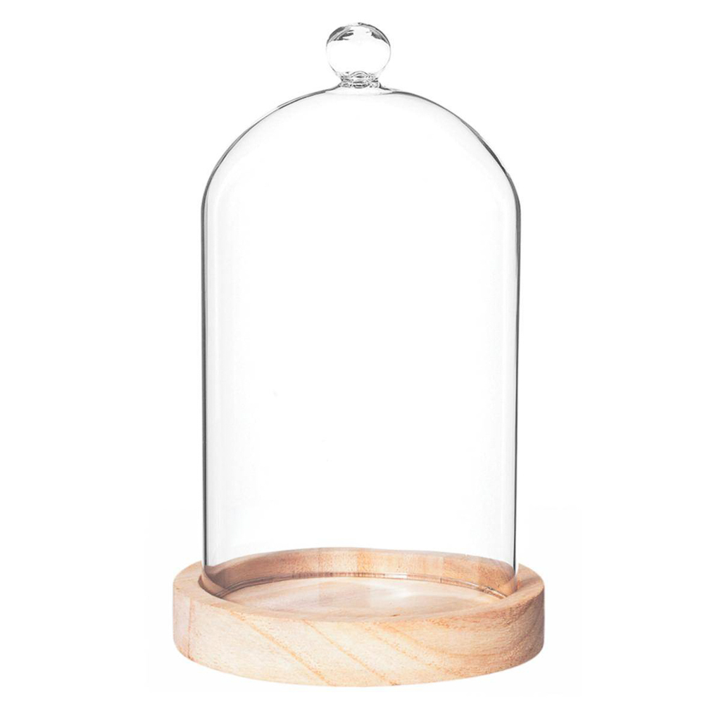 cloche en verre sur socle en bois
