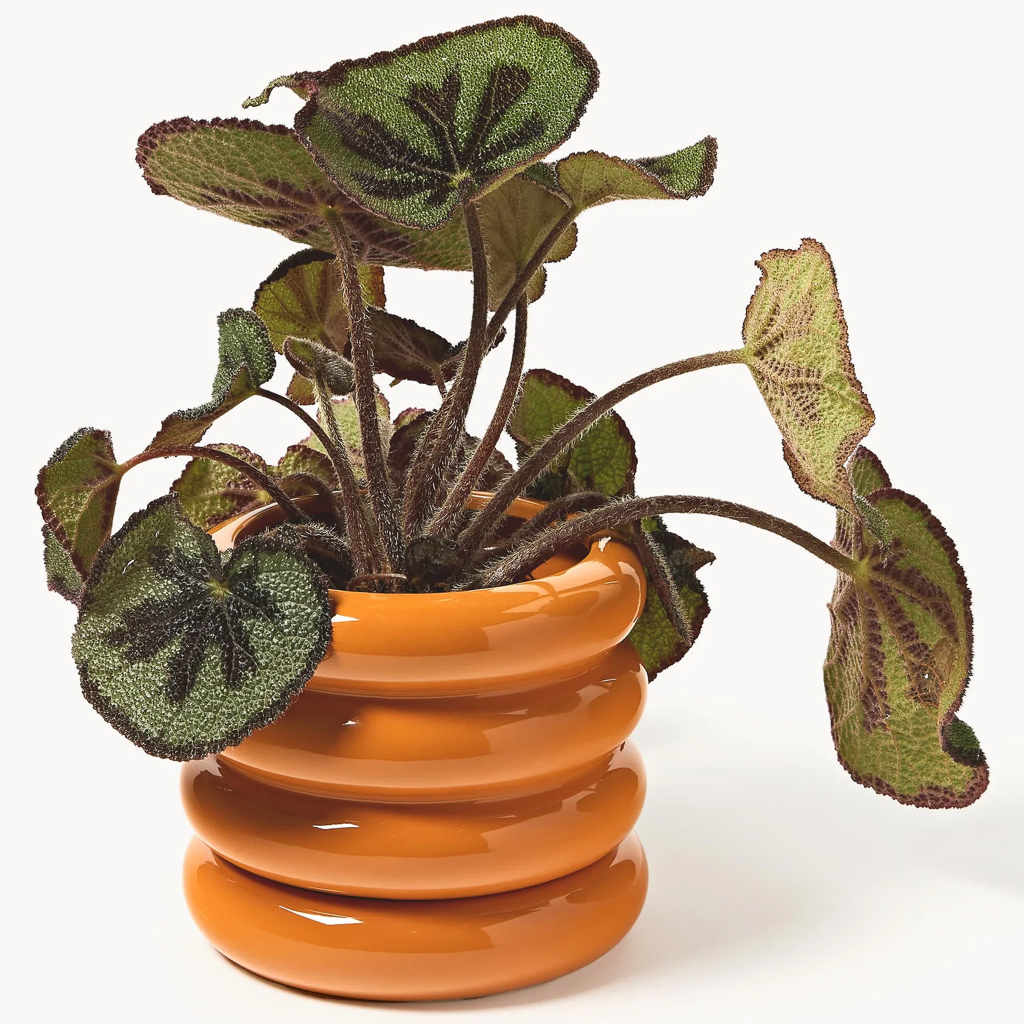 cache pot orange avec soucoupe